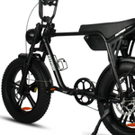 Load image into Gallery viewer, Fatfish Biggie Fat Tyre E-Bike
