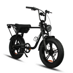 Load image into Gallery viewer, Fatfish Biggie Fat Tyre E-Bike
