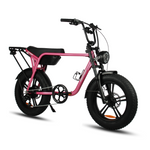 Load image into Gallery viewer, Fatfish Biggie Fat Tyre E-Bike
