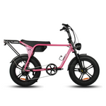Load image into Gallery viewer, Fatfish Biggie Fat Tyre E-Bike
