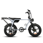 Load image into Gallery viewer, Fatfish Biggie EN15194 Certified Fat Tyre E-Bike