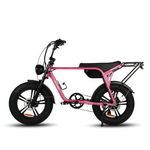 Load image into Gallery viewer, Fatfish Biggie Fat Tyre E-Bike
