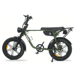 Load image into Gallery viewer, Fatfish OG Fat Tyre E-Bike
