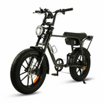 Load image into Gallery viewer, Fatfish OG Fat Tyre E-Bike
