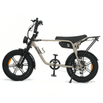 Load image into Gallery viewer, Fatfish OG Fat Tyre E-Bike
