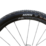Load image into Gallery viewer, Maxxis Aspen - 29 X 2.25 - Folding TR - EXO 120 TPI Tyre- Dual Compound - Black
