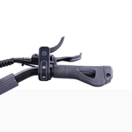 Load image into Gallery viewer, VSETT 9 APEX Electric Scooter
