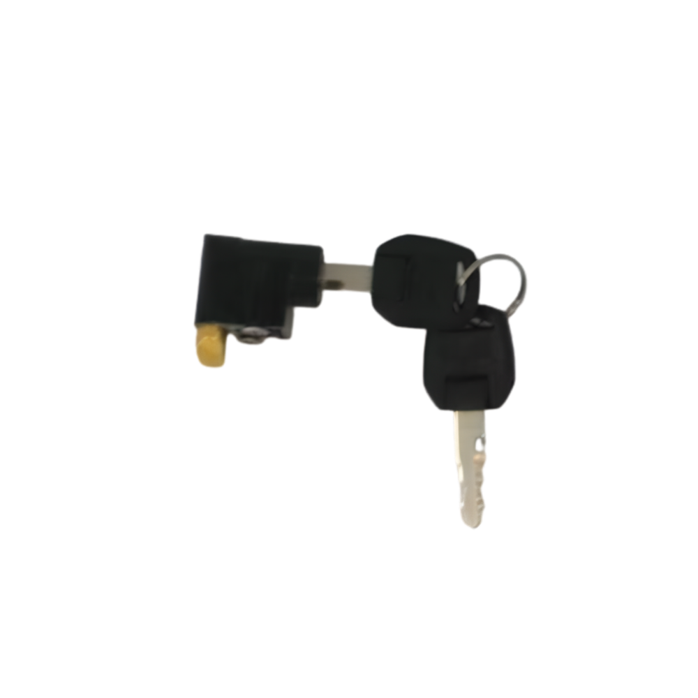 Smartmotion Key and Lock