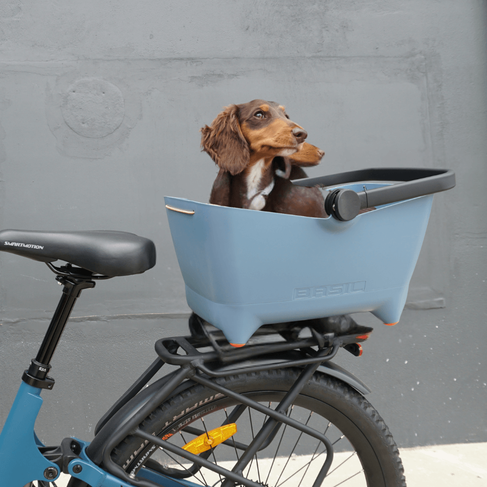 Basil Buddy Basket Rear with MIK 2.0