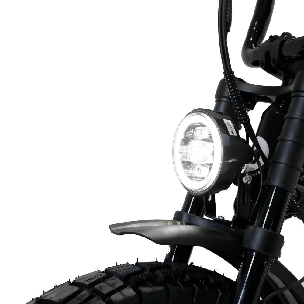 Fatboy The DNA V3 eBike