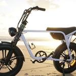 Load image into Gallery viewer, Fatfish Biggie Bottle Cage
