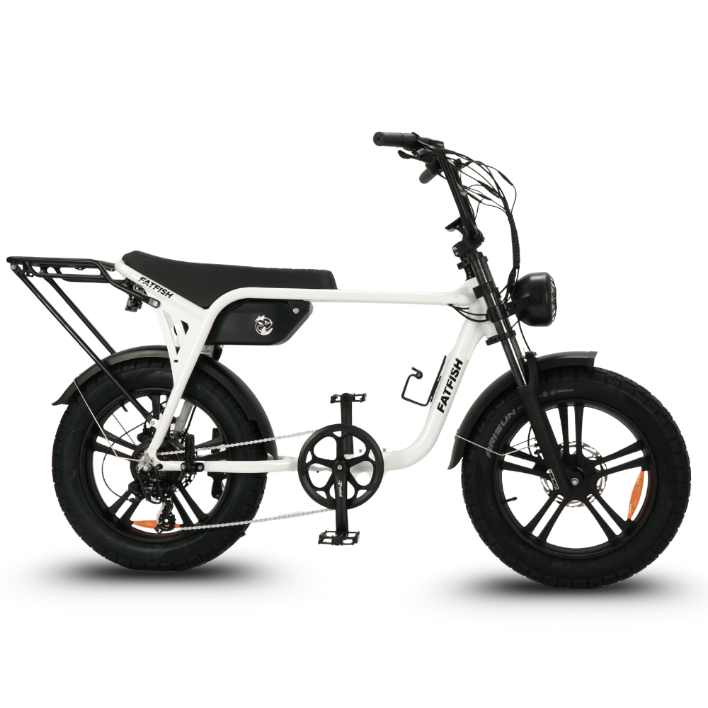 Fatfish Biggie Fat Tyre E-Bike