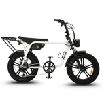 Load image into Gallery viewer, Fatfish Biggie Fat Tyre E-Bike

