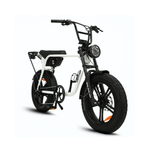 Load image into Gallery viewer, Fatfish Biggie Fat Tyre E-Bike
