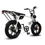 Load image into Gallery viewer, Fatfish Biggie Fat Tyre E-Bike
