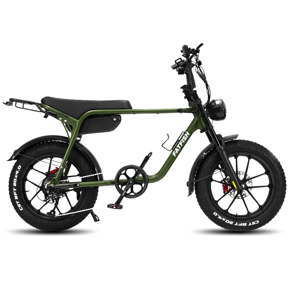 Eco bike on sale