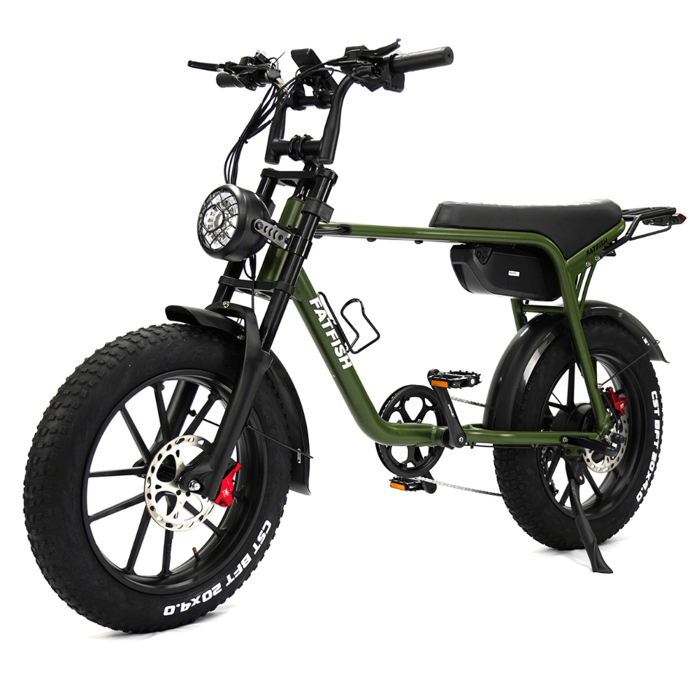 Fatfish Fat Tyre E Bike Ride Electric