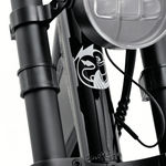Load image into Gallery viewer, Fatfish Step 21AH Fat Tyre E-Bike
