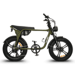 Load image into Gallery viewer, Fatfish OG 2.0 Fat Tyre E-Bike
