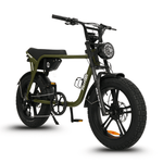 Load image into Gallery viewer, Fatfish OG 2.0 Fat Tyre E-Bike
