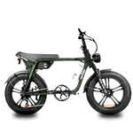 Load image into Gallery viewer, Fatfish OG 2.0 Fat Tyre E-Bike
