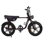 Load image into Gallery viewer, Limited Edition Fatfish OG 2.0 Fat Tyre E-Bike