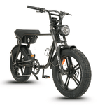 Load image into Gallery viewer, Fatfish OG 2.0 Fat Tyre E-Bike
