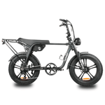 Load image into Gallery viewer, Fatfish OG 2.0 Fat Tyre E-Bike
