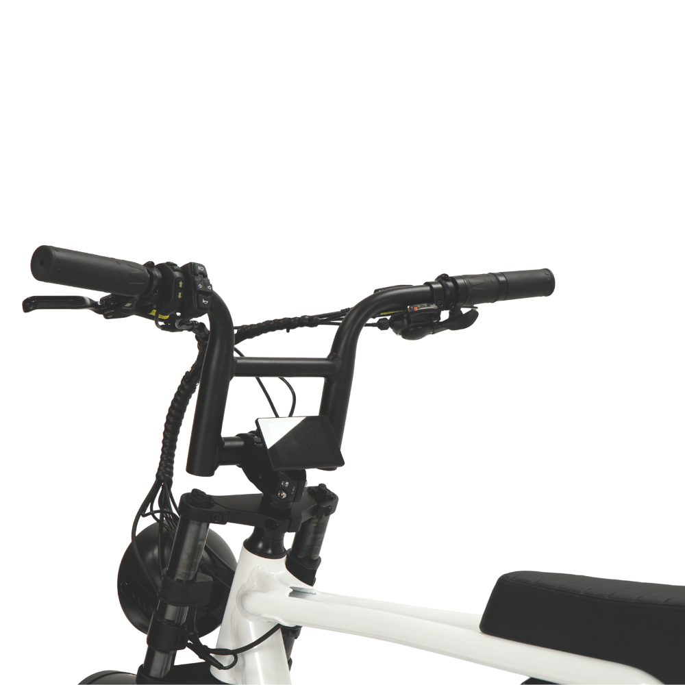Fatfish OG 2.0 EN15194 Certified Fat Tyre E-Bike
