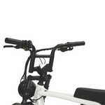 Load image into Gallery viewer, Fatfish OG 2.0 Fat Tyre E-Bike
