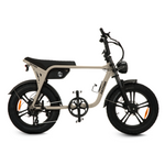 Load image into Gallery viewer, Fatfish OG 2.0 EN15194 Certified Fat Tyre E-Bike