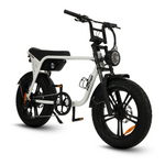 Load image into Gallery viewer, Fatfish OG 2.0 Fat Tyre E-Bike
