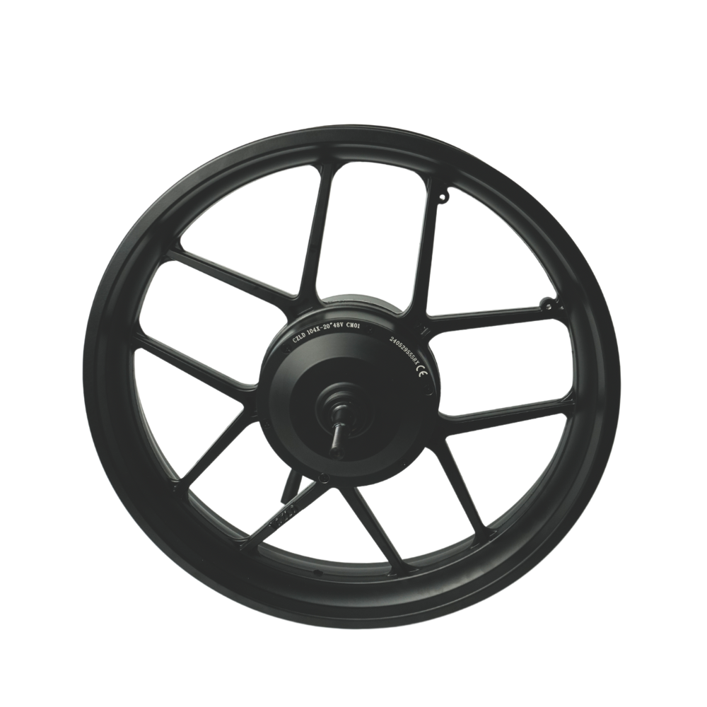 Fatfish Rear wheel and Motor