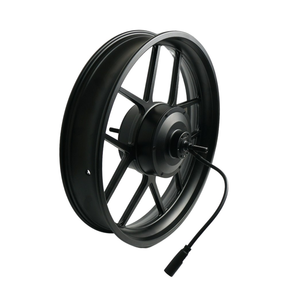 Fatfish Rear wheel and Motor