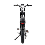 Load image into Gallery viewer, Fatfish Step 21AH Fat Tyre E-Bike
