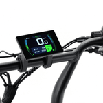 Load image into Gallery viewer, Fatfish Step 21AH Fat Tyre E-Bike
