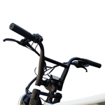 Load image into Gallery viewer, Fatfish Grime Fat Tyre E-Bike