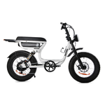 Load image into Gallery viewer, Fatfish Vice Fat Tyre E-Bike