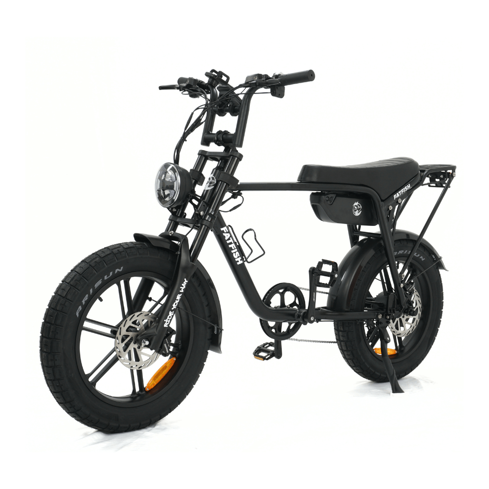 Fatfish Fat Tyre E-Bike