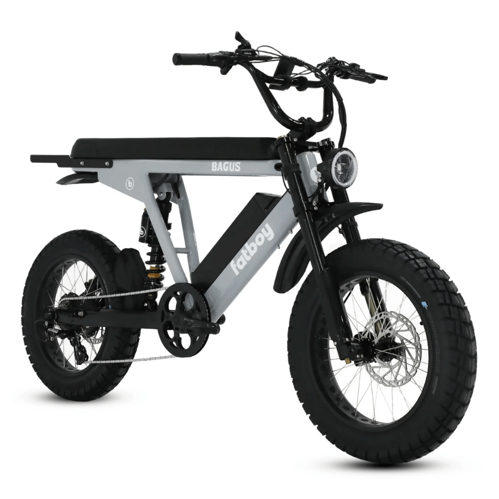 Premium electric bike compared to low cost electric bikes