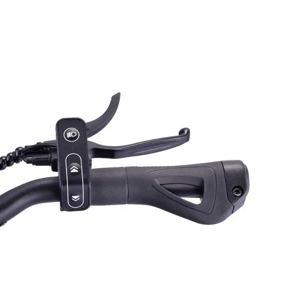 VSETT 10 APEX Electric Scooter